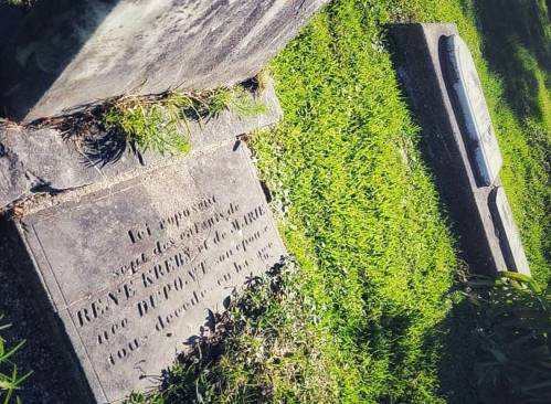 Gravestones in a grassy cemetery, one with an inscription honoring René L. de Marie.