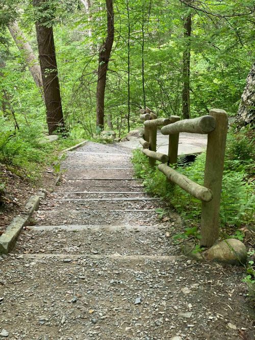 A winding dirt path with wooden railings, surrounded by lush green trees and foliage.