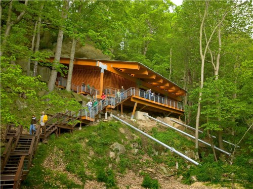 A modern building nestled in a forest, featuring a wooden deck and surrounded by lush greenery.