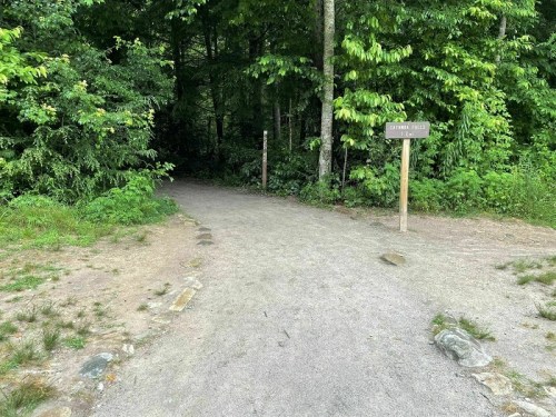 A gravel path leads into a lush green forest, with a sign indicating the start of a trail.