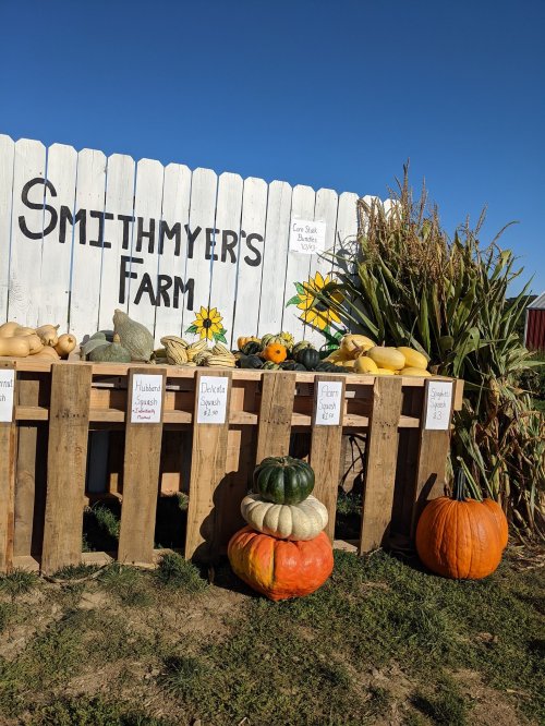 A farm stand at Smithmyer's Farm displays various squash and pumpkins against a white wooden fence with sunflowers.