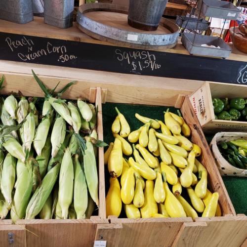 Fresh corn and yellow squash displayed in wooden crates at a market, with prices labeled on a chalkboard.