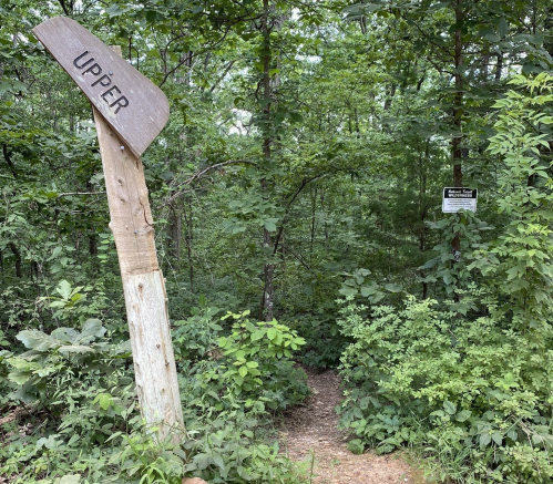 A wooden signpost labeled "UPPER" points towards a narrow trail surrounded by dense green foliage.