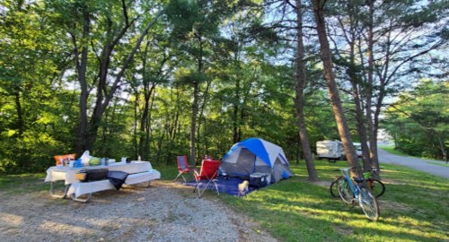 A campsite with a blue tent, picnic table, chairs, and bicycles surrounded by trees in a sunny outdoor setting.