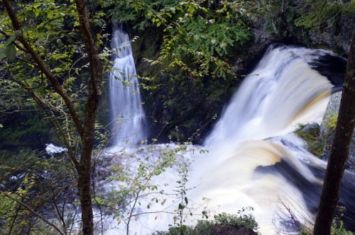 A serene waterfall cascades over rocks, surrounded by lush green trees and flowing water in a tranquil forest setting.
