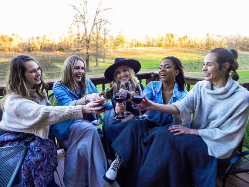 Five women toast with glasses of red wine on a deck, surrounded by a scenic landscape of trees and fields.