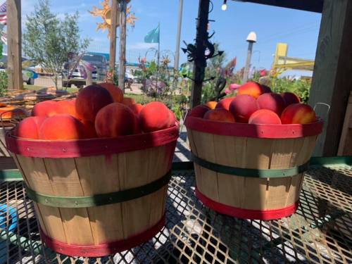 Two wooden baskets filled with ripe peaches, sitting on a table in a sunny outdoor market.