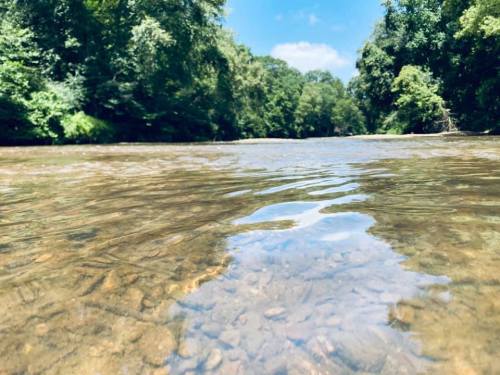 A clear river flows through a lush green landscape, with visible rocks beneath the water's surface.