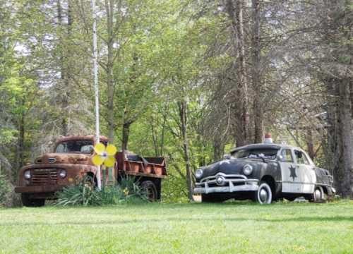 Two vintage vehicles: a rusty truck and an old police car, surrounded by greenery in a sunny outdoor setting.