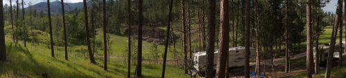 A panoramic view of a forested area with tall trees, green grass, and a parked RV in a serene landscape.