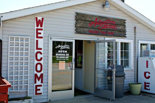 Entrance of Adventure Island Family Fun Park, featuring a welcoming sign and open door, with ice and snack options visible.