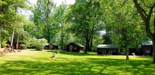 A serene landscape featuring several rustic cabins surrounded by lush green trees and a grassy area.