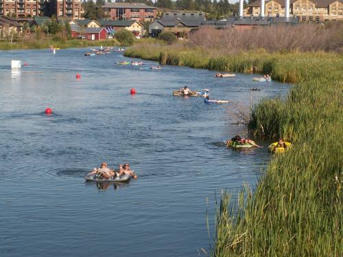 People floating on inner tubes in a river, surrounded by greenery and buildings in the background.
