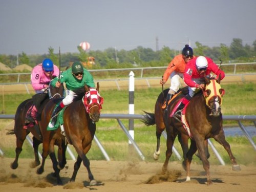 A horse race with jockeys in colorful silks competing on a dirt track, surrounded by green fields and a clear sky.