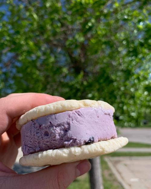 A hand holding a purple ice cream sandwich against a backdrop of green trees.