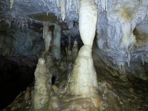 Stalactites and stalagmites in a dimly lit cave, with a reflective surface of water in the background.
