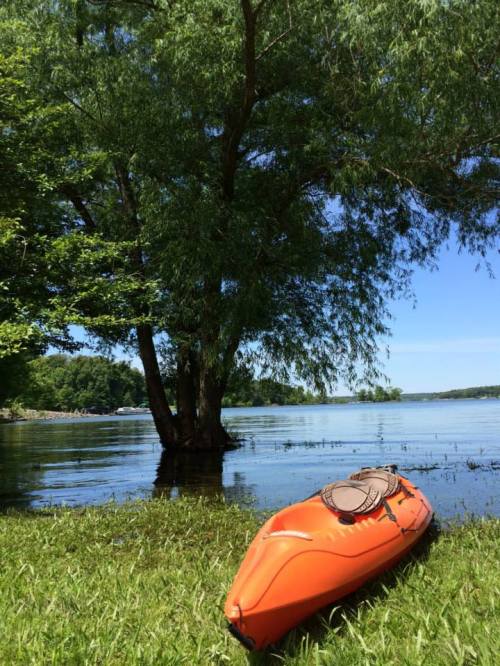 An orange kayak rests on the grass by a calm lake, with a tree and clear blue sky in the background.