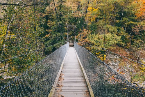 A wooden suspension bridge stretches over a forested area with autumn foliage.