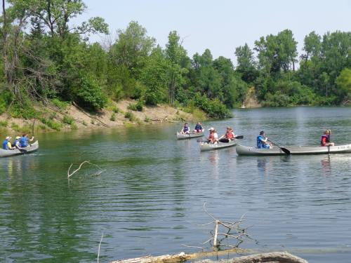 A group of people canoeing on a calm river surrounded by lush greenery and trees on a sunny day.