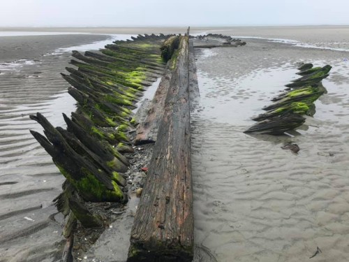 A weathered shipwreck partially buried in wet sand, with moss-covered wooden beams and jagged protrusions.