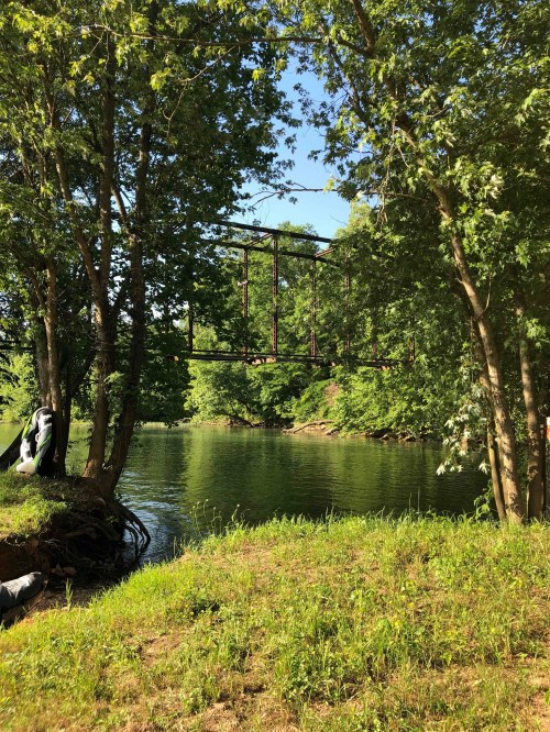 A metal frame suspended between trees over a calm river, surrounded by lush greenery and sunlight.