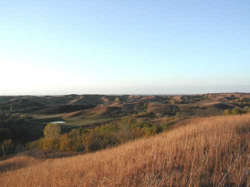 A scenic view of rolling hills and grassy fields under a clear blue sky, with trees dotting the landscape.