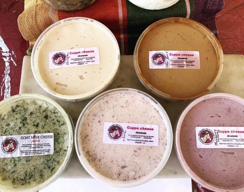 Five containers of cheese in various flavors, labeled "Cuppa Cheese," displayed on a colorful tablecloth.