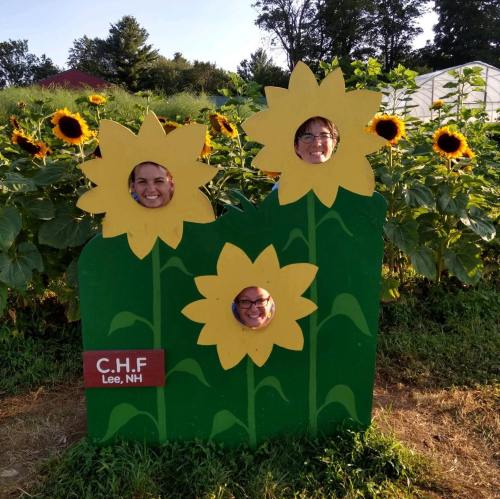 Three people smiling through cut-out faces in a colorful flower display at a sunflower field in Lee, NH.