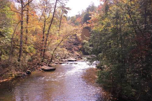 A serene river flows through a colorful autumn forest, with vibrant leaves and rocky banks under a clear sky.