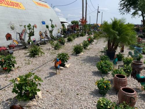 A garden area with various potted plants, decorative sculptures, and a corrugated metal building in the background.