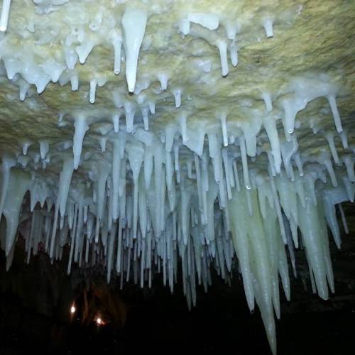 Stalactites hang from a cave ceiling, resembling icicles, with a soft glow from lights in the background.