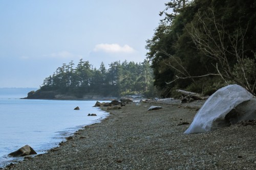 A serene beach scene with pebbles, scattered rocks, and trees lining the shore under a cloudy sky.