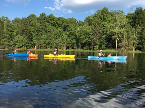 Five people in colorful kayaks paddle on a calm lake surrounded by lush green trees under a blue sky.