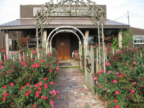 A charming entrance to a rustic building surrounded by vibrant rose bushes in full bloom.