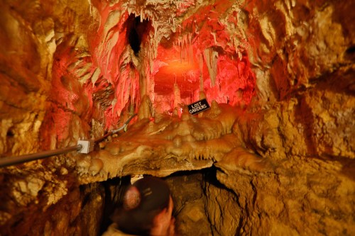 A dimly lit cave with colorful lighting, featuring stalactites and a sign that reads "Lava Gardens."