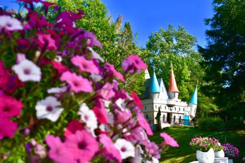 A whimsical castle with colorful spires surrounded by vibrant pink and white flowers under a clear blue sky.