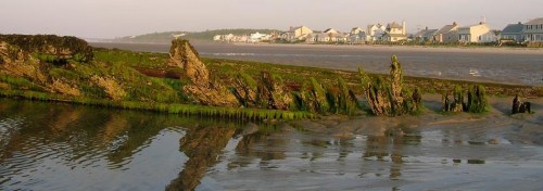 Coastal landscape with a sandy shore, grassy areas, and a row of houses in the background reflecting in the water.