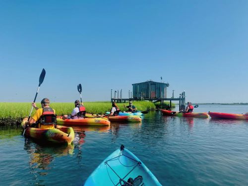 A group of kayakers paddles in calm waters near a wooden dock surrounded by green marsh grass under a clear blue sky.