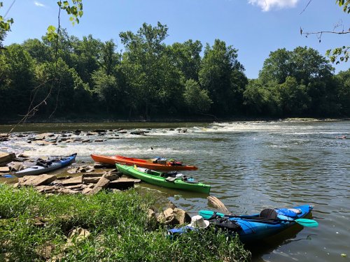 Colorful kayaks are lined up on the shore of a river, surrounded by lush greenery and a rocky bank.