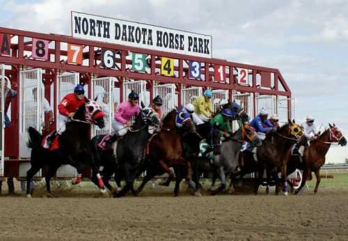 Horses and jockeys racing out of the starting gate at North Dakota Horse Park.