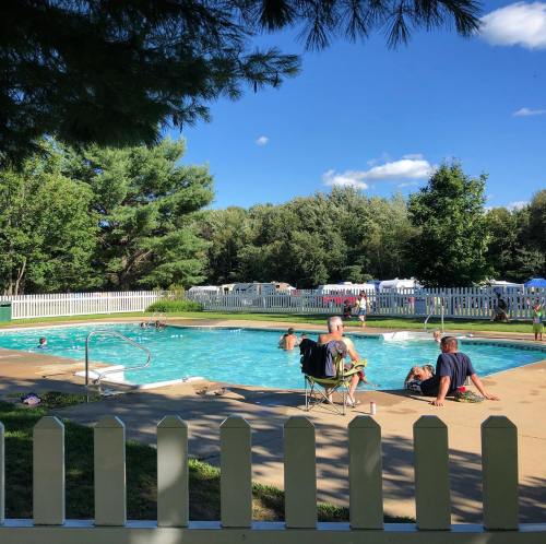 A sunny pool scene with people relaxing by the water, surrounded by trees and a white picket fence.