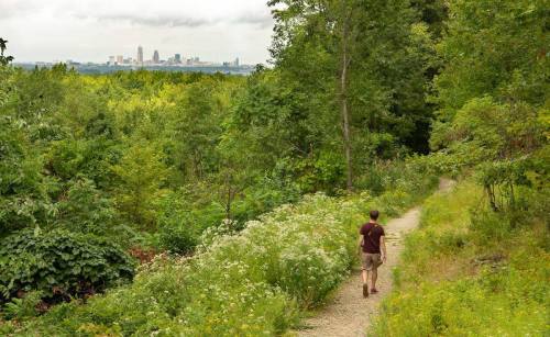 A person walks along a trail surrounded by greenery, with a city skyline visible in the distance under a cloudy sky.