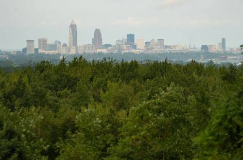 A city skyline with tall buildings rises above a lush green forest under a cloudy sky.