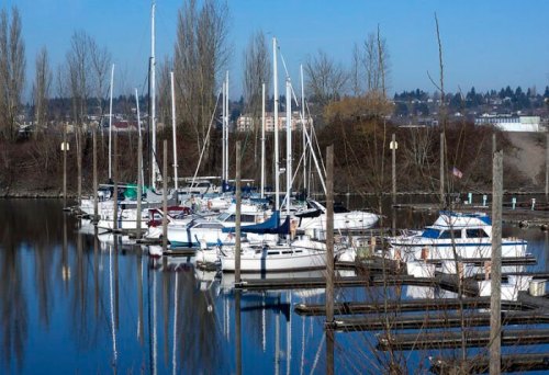 A serene marina with several sailboats docked, reflecting in calm water under a clear blue sky.