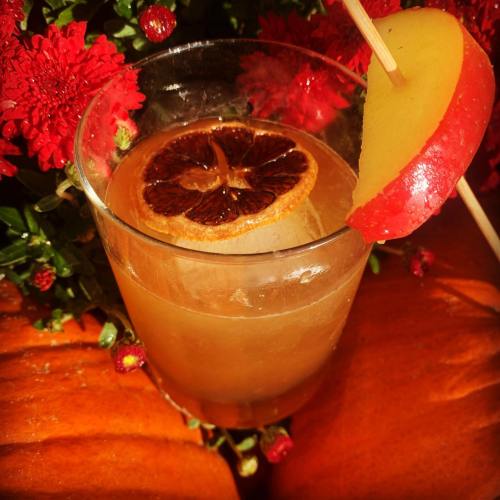 A refreshing cocktail with a dried orange slice and apple garnish, set against vibrant flowers and pumpkins.