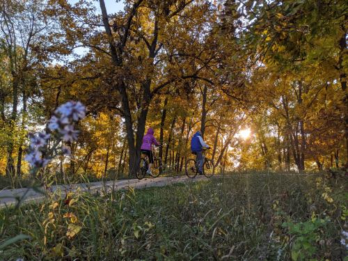 Two cyclists ride along a path surrounded by vibrant autumn trees, with sunlight filtering through the leaves.
