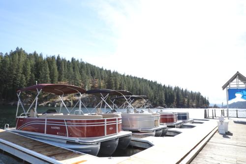 Four boats lined up on a dock by a serene lake, surrounded by lush green trees and a clear blue sky.