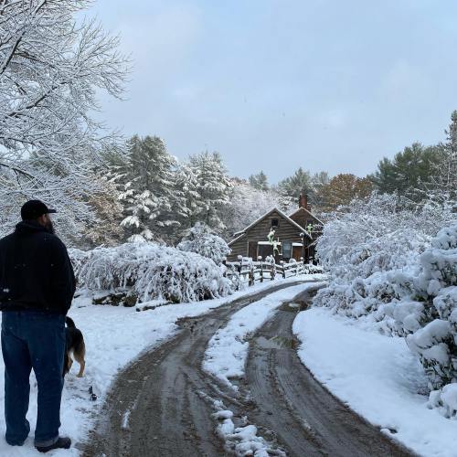 A person and a dog walk along a snowy path towards a cozy house surrounded by trees.