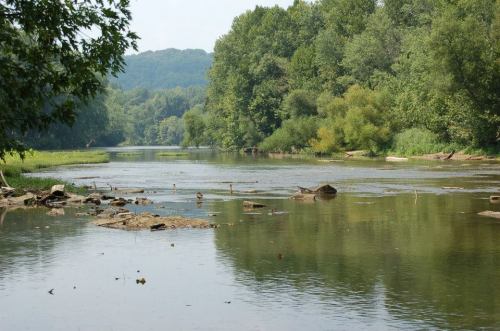 A serene river flows through a lush green landscape, with trees lining the banks and rocks visible in the water.