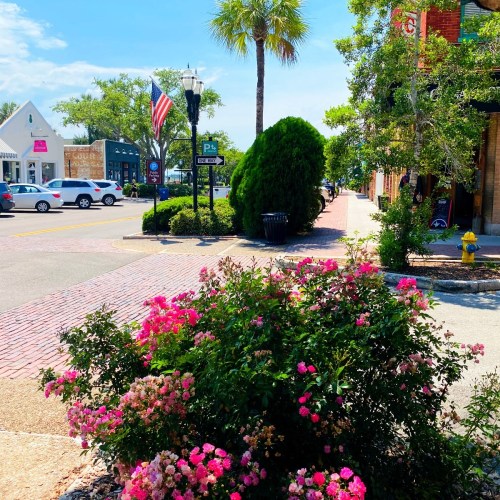 A vibrant street scene with blooming flowers, palm trees, and shops under a clear blue sky.